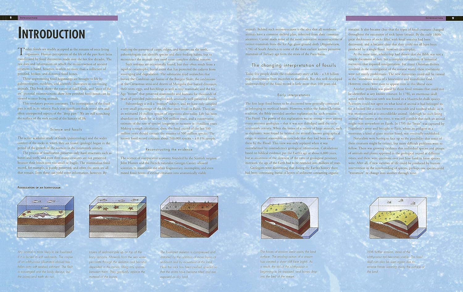 The Illustrated Dinosaur Encyclopedia: A Visual Who's Who of Prehistoric Life