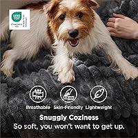 Vista 2 de Bedsure Manta de forro polar gris para sofá, mantas súper suaves y acogedoras para mujeres, lindas mantas pequeñas para niñas, 50 x 60 pulgadas