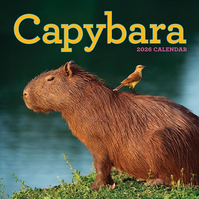 Portada de Capybara Wall Calendar 2026