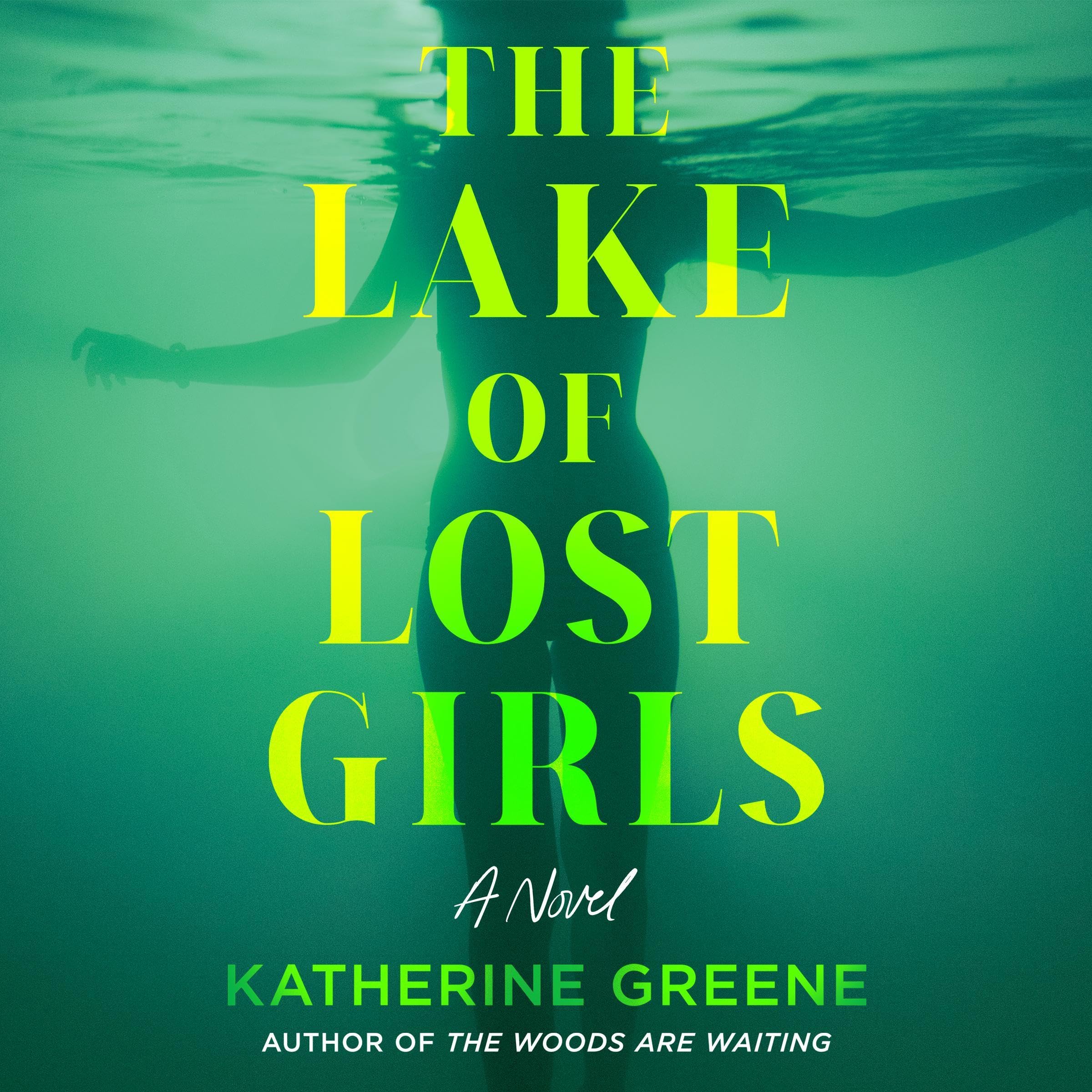 Cover art for The Lake of Lost Girls