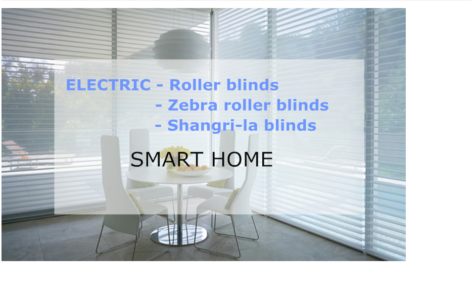 Amazon.com: Rosy Blinds Custom Motorized Zebra Blinds for Sliding