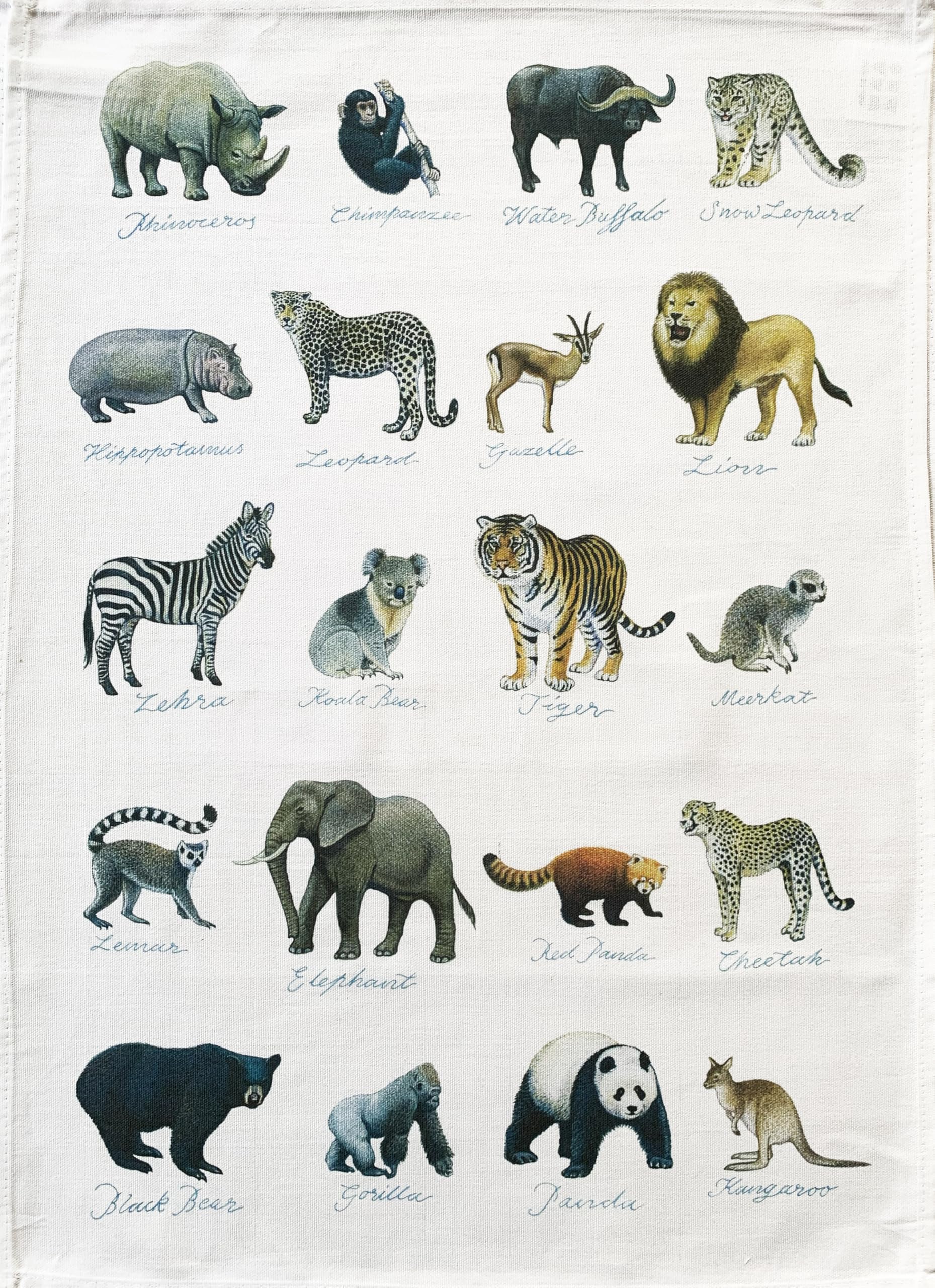 Half A Donkey White A World Of Wildlife Large Cotton Tea Towel