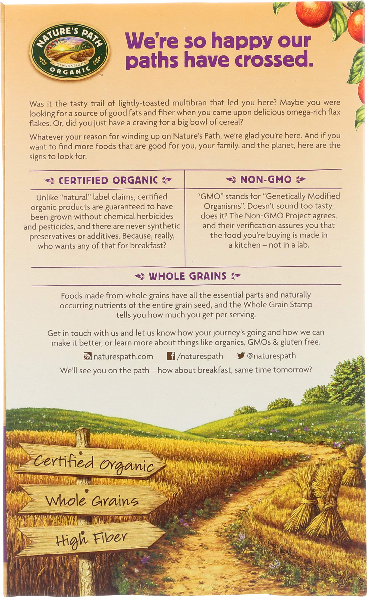 Nature's Path Organic Flax Plus Raisin Bran Cereal, 14-Ounce Boxes (Pack of 4)