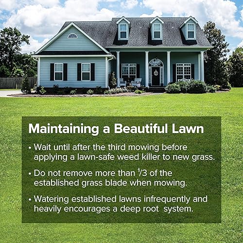 Miniatura 4 de Blue Seal EZ Green Grass Seed  Césped de textura fina, se espesa rápidamente, semillas de césped de crecimiento rápido  Bolsa de 5 libras