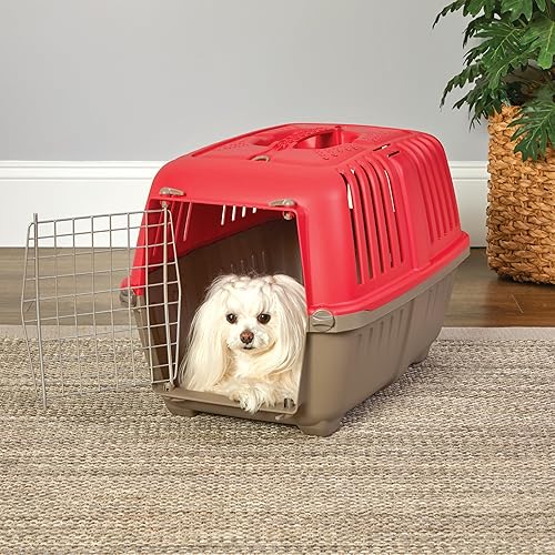 Miniatura 31 de MidWest Homes for Pets Spree - Transportador de viaje duro para perros y gatos, jaula de viaje para mascotas pequeña con asa, diseño ventilado, Azul