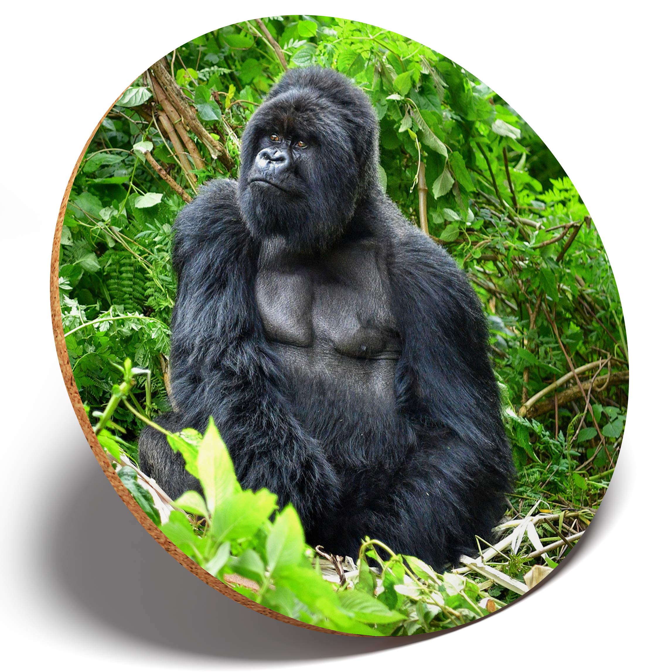 Destination Vinyl Coasters Multicolor 1 X Silverback Mountain Gorilla - Round Coaster Kitchen Student Kids #3014