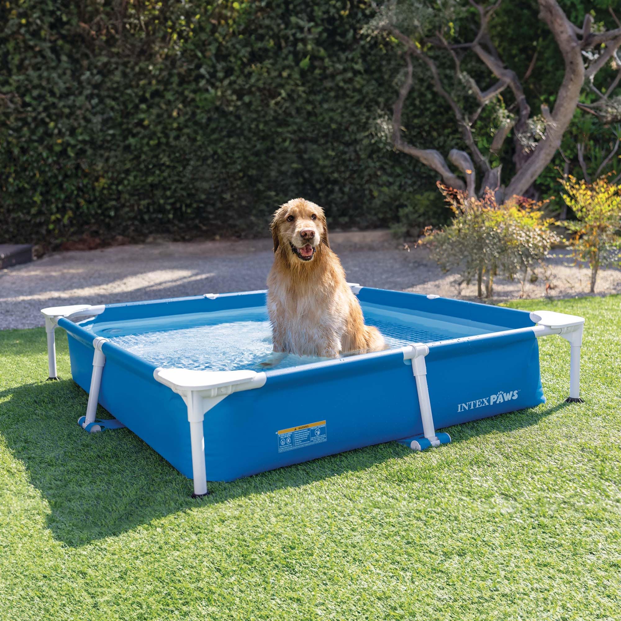Intex Piscina Desmontable Cuadrada para Mascotas, 152x152x30 cm, Depuradora incluida, Filtro Tipo H, Skimmer, Cobertor, Materiales Resistentes, Piscina Perros, Piscinas Desmontables (55285)