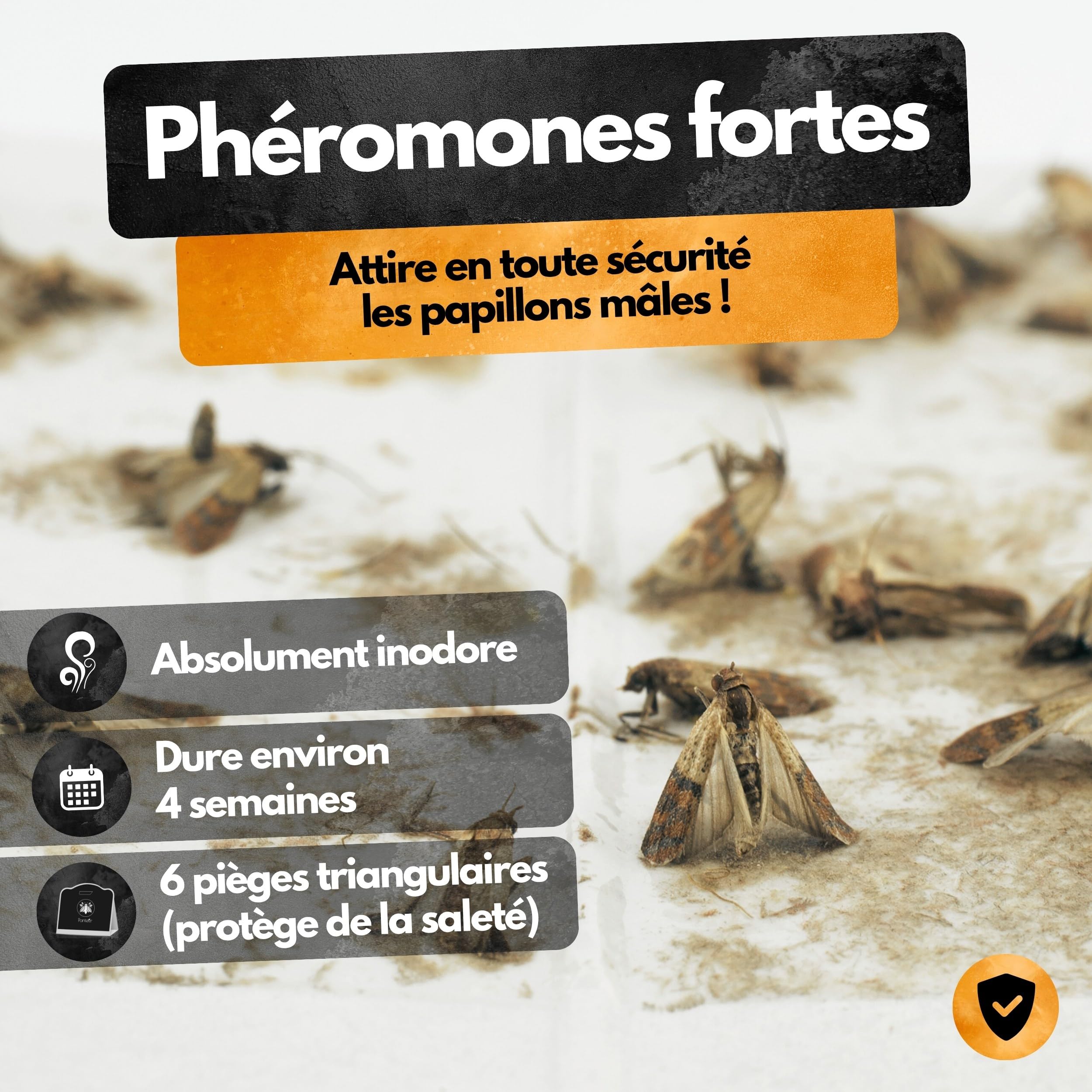 Panteer Lot de 6 pièges à Mites Contre 2 Types de Mites pour Garde-Robe et Alimentaires