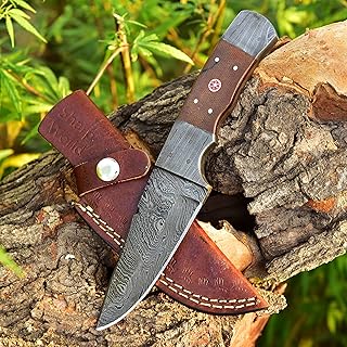 10 Inches Beautiful Damascus Knife Made Of Full Tang Damascus Steel Wood Handle/w Brown Leather Sheath TJ112 - SharpWorld