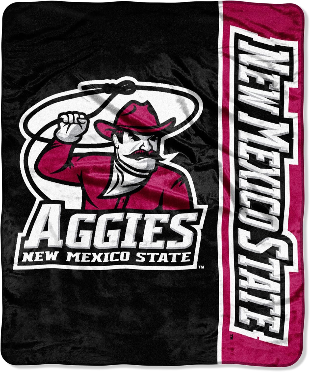 The Northwest Company NCAA Stripe 50-inch by 60-inch Plush Raschel Throw