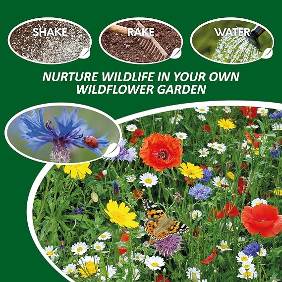 Pronto Seed Wildflower Seeds UK Mixed Variety Pack 100g | Seed mix for outdoor blooms from May to October. Easy-grow native British flowers for beds, borders & containers.