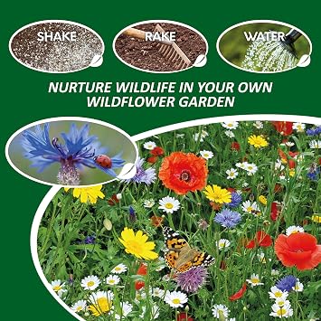 Pronto Seed Wildflower Seeds UK Mixed Variety Pack 100g | Seed mix for outdoor blooms from May to October. Easy-grow native British flowers for beds, borders & containers.