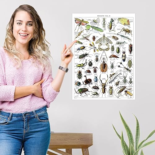 Miniatura 6 de Paquete de 4 pósteres vintage de insectos, gráficos de referencia de identificación de entomología, volúmenes 1, 2 y 3 y artrópodos (laminado, 18 x