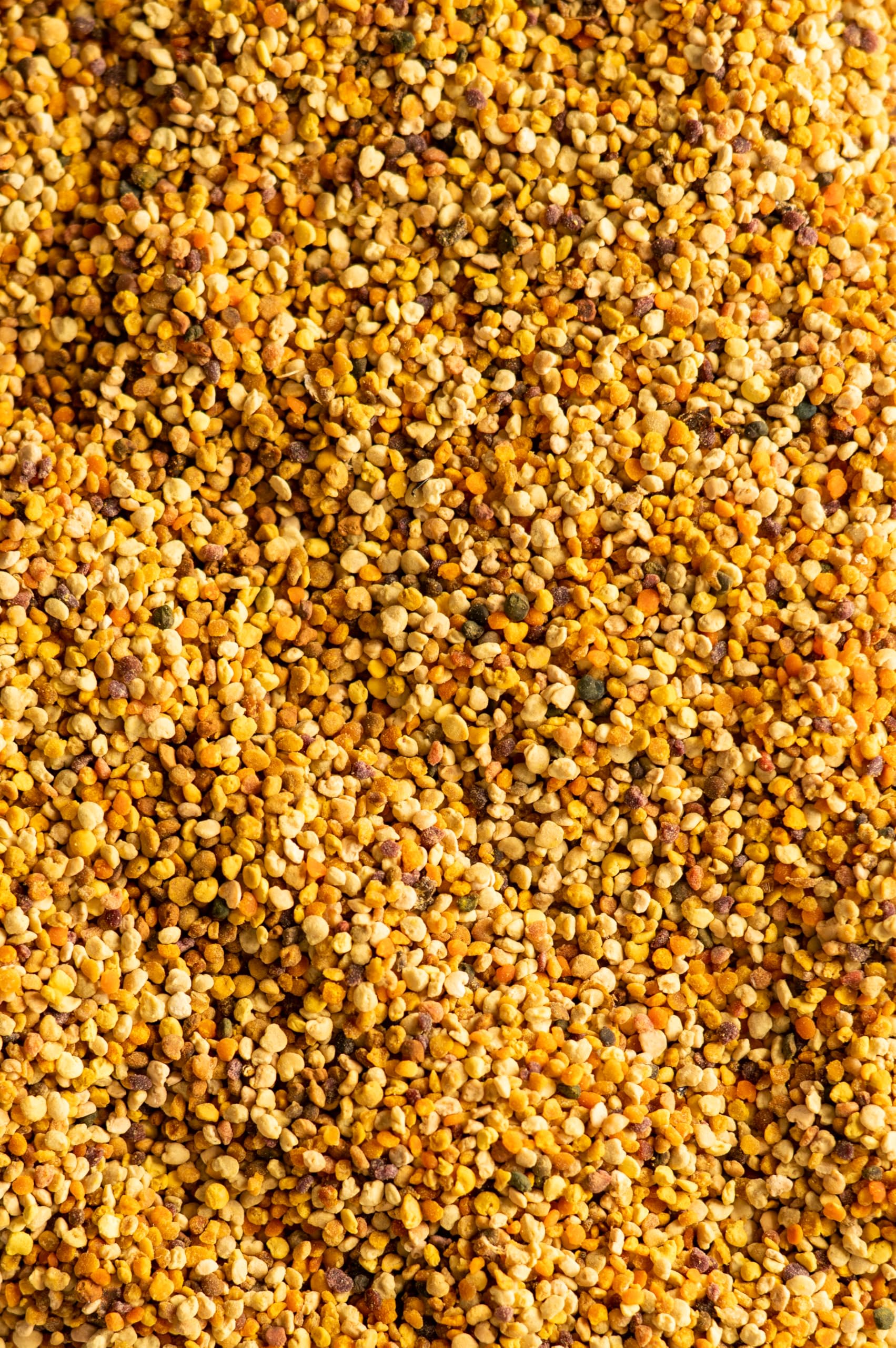 Biojoy Polen de Abeja Ecológico (500 g), Polen de Flores en Gránulos, Natural, Ideal para Comer
