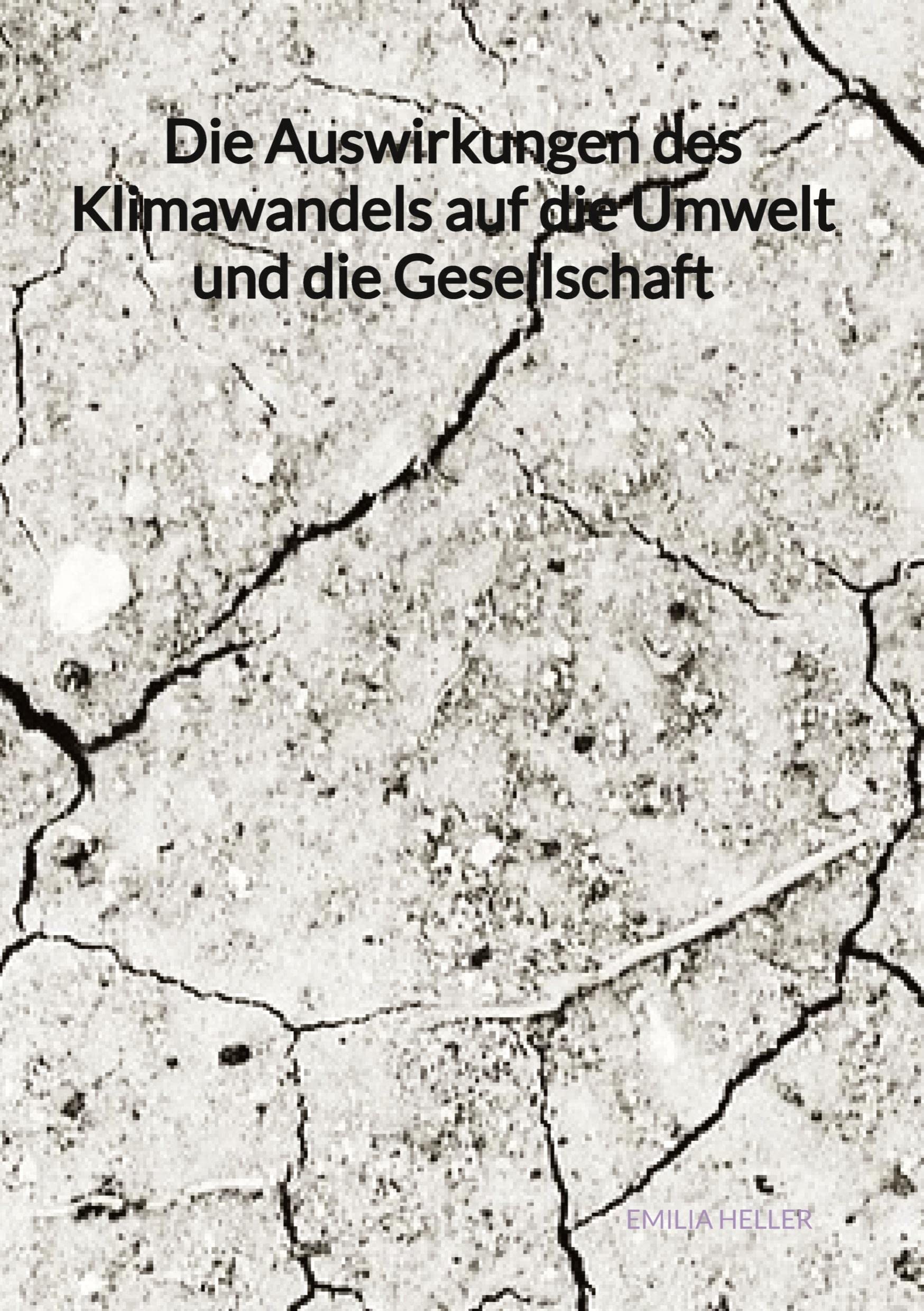 Die Auswirkungen des Klimawandels auf die Umwelt und die Gesellschaft