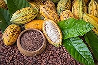 Vista 8 de Obleas de mantequilla de cacao orgánica, 1 libra, sin OMG, crudas, puras, sin filtrar, sin refinar, keto, superalimento vegano, a granel, hecho
