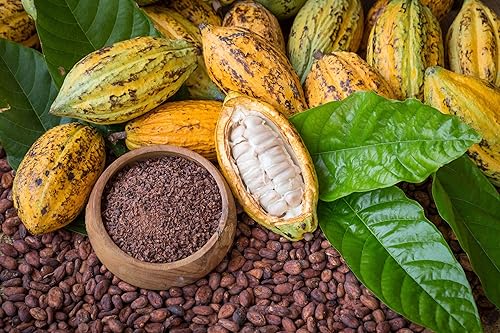 Miniatura 8 de Obleas de mantequilla de cacao orgánica, 1 libra, sin OMG, crudas, puras, sin filtrar, sin refinar, keto, superalimento vegano, a granel, hecho con