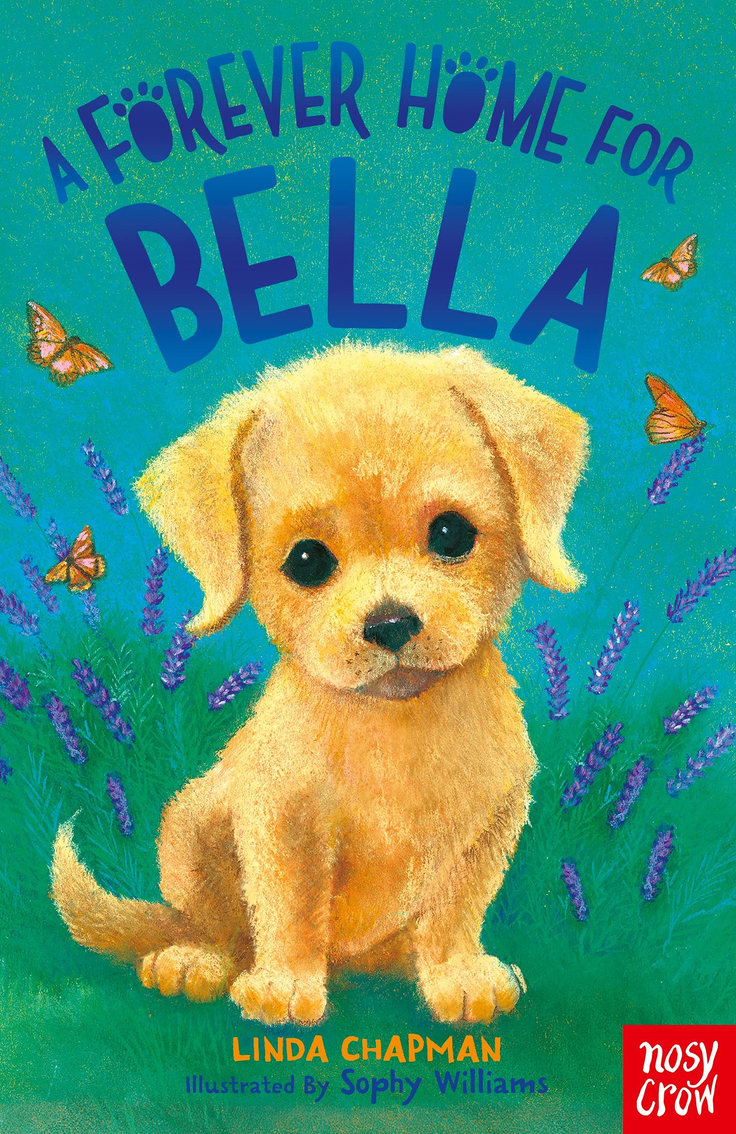 Buy A Forever Home for Bella — BookShops.in