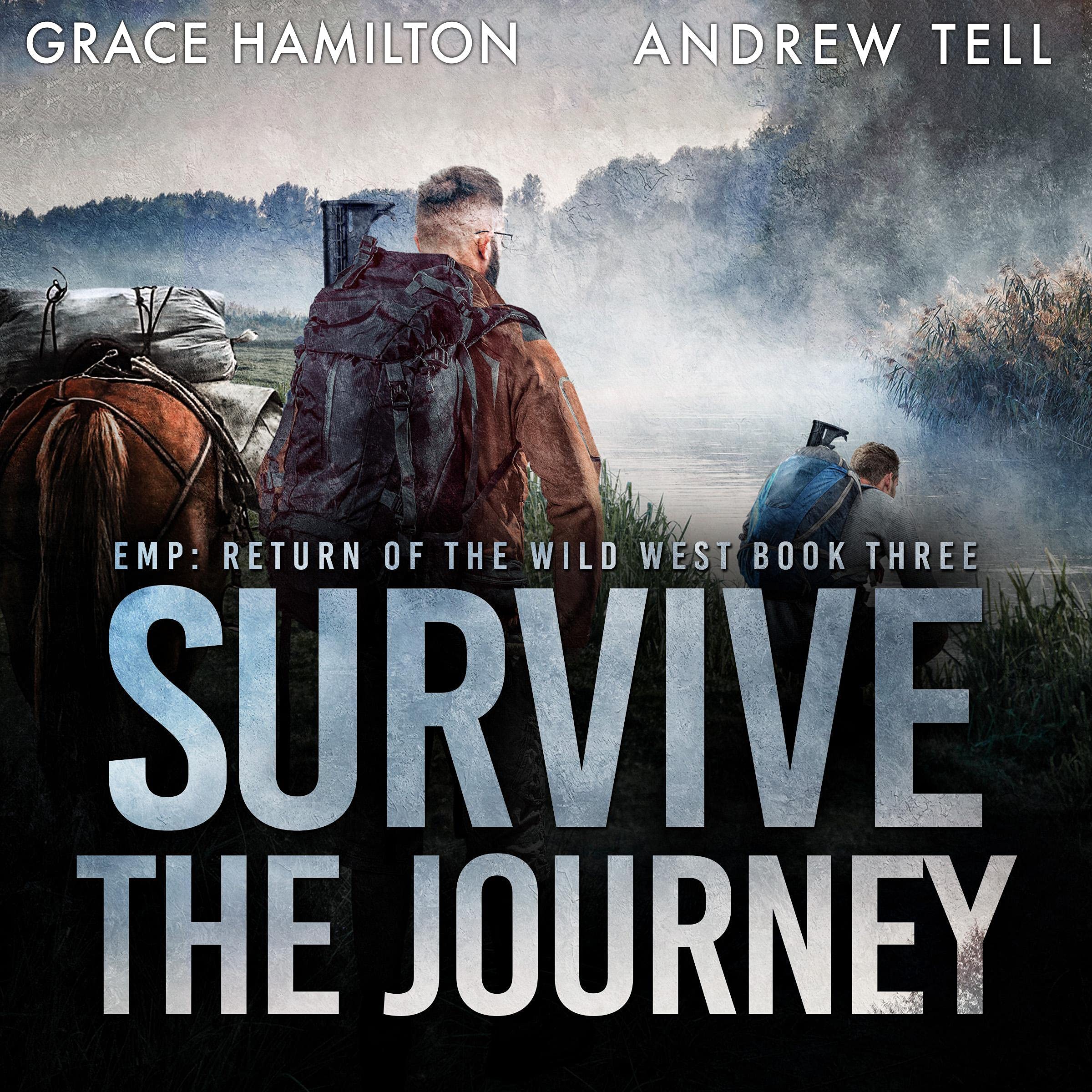 Cover art for Survive the Journey