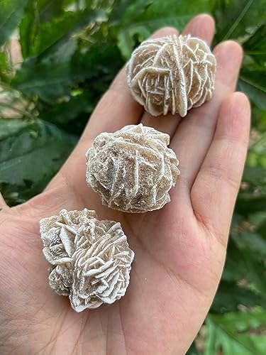 Miniatura 3 de GAF TREASURES Cristales de rosa del desierto crudos al por mayor, piedra natural de rosa del desierto, cristales naturales de rosa del desierto,