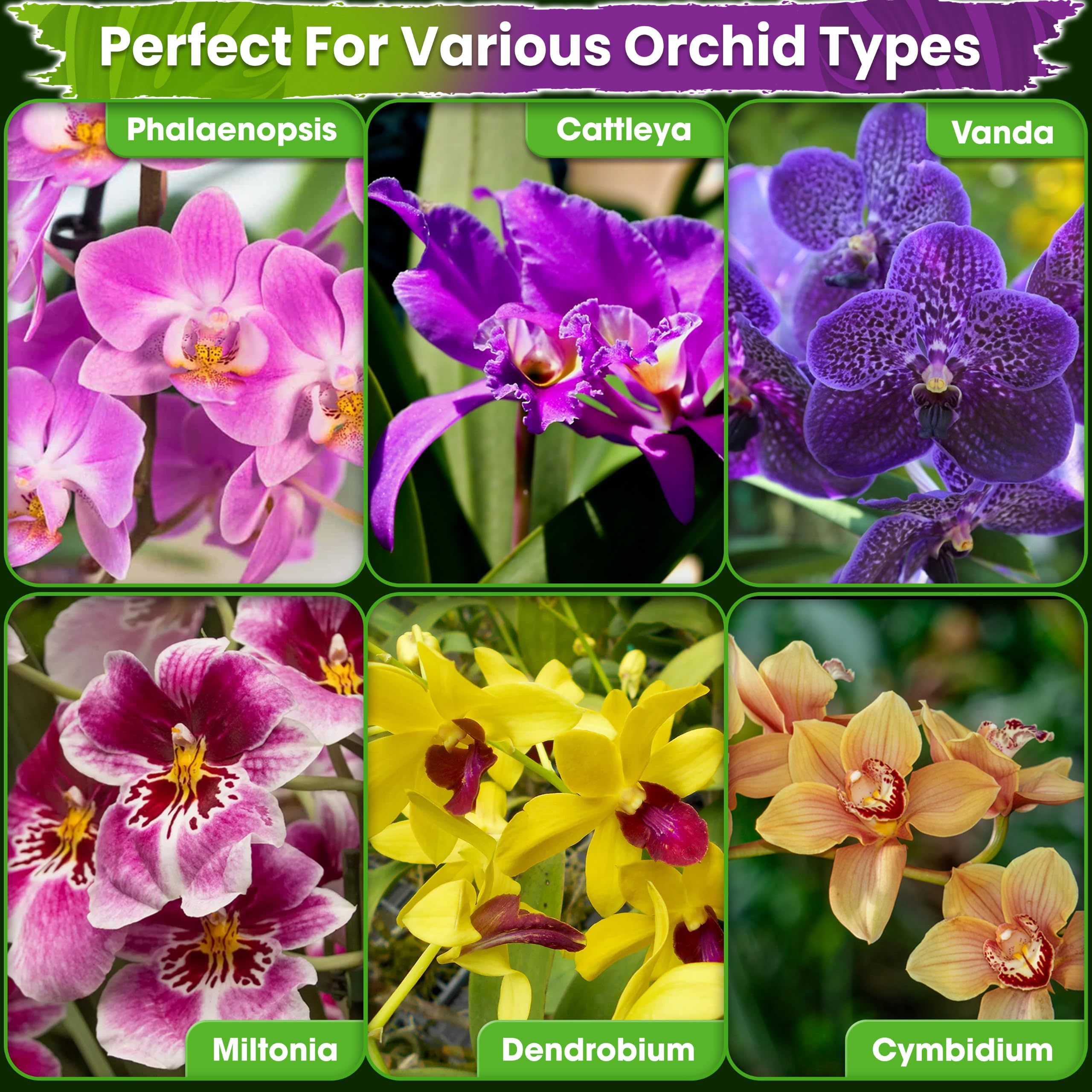 DUSPRO Orchid Potting Mix - Repotting Ready -6