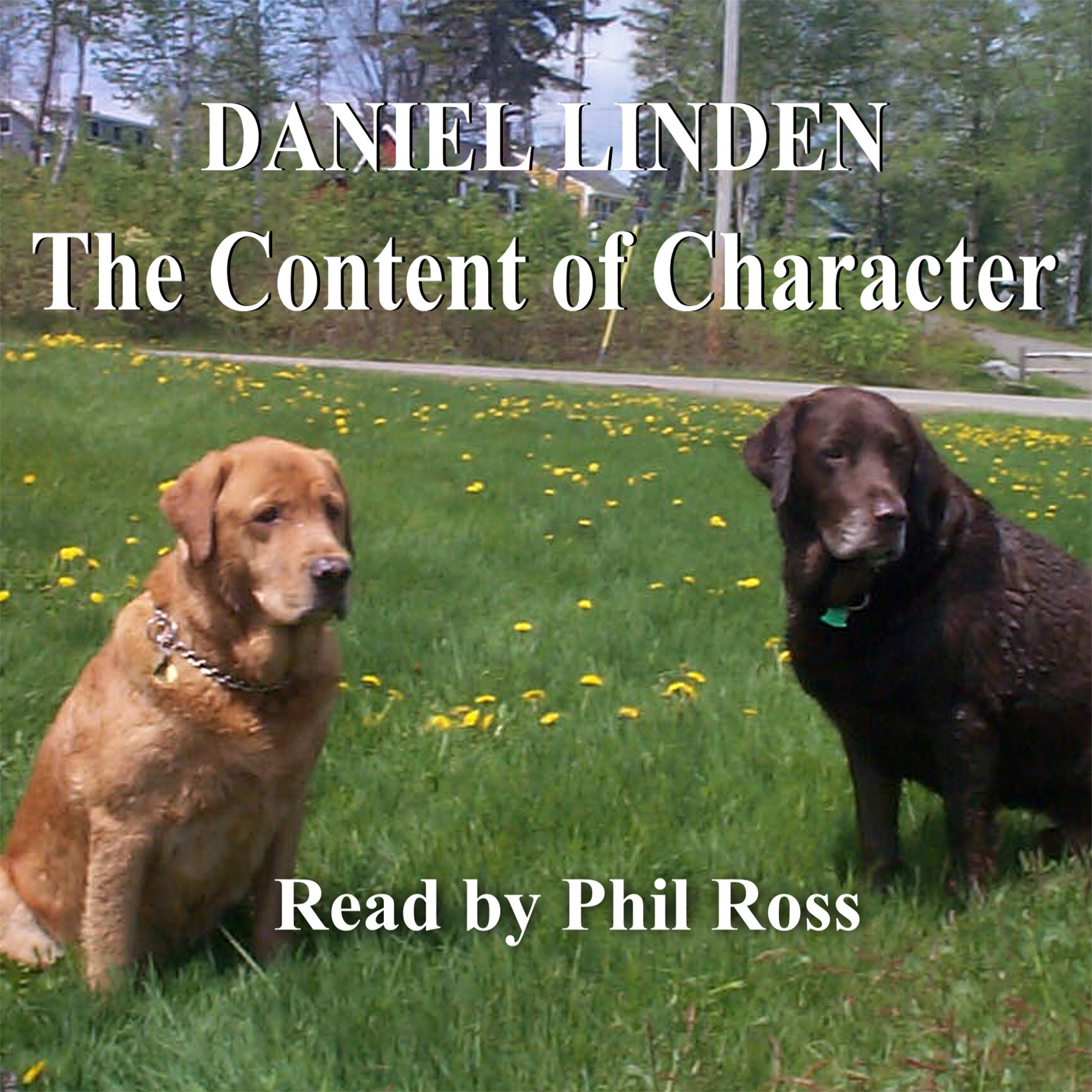The Content of Character