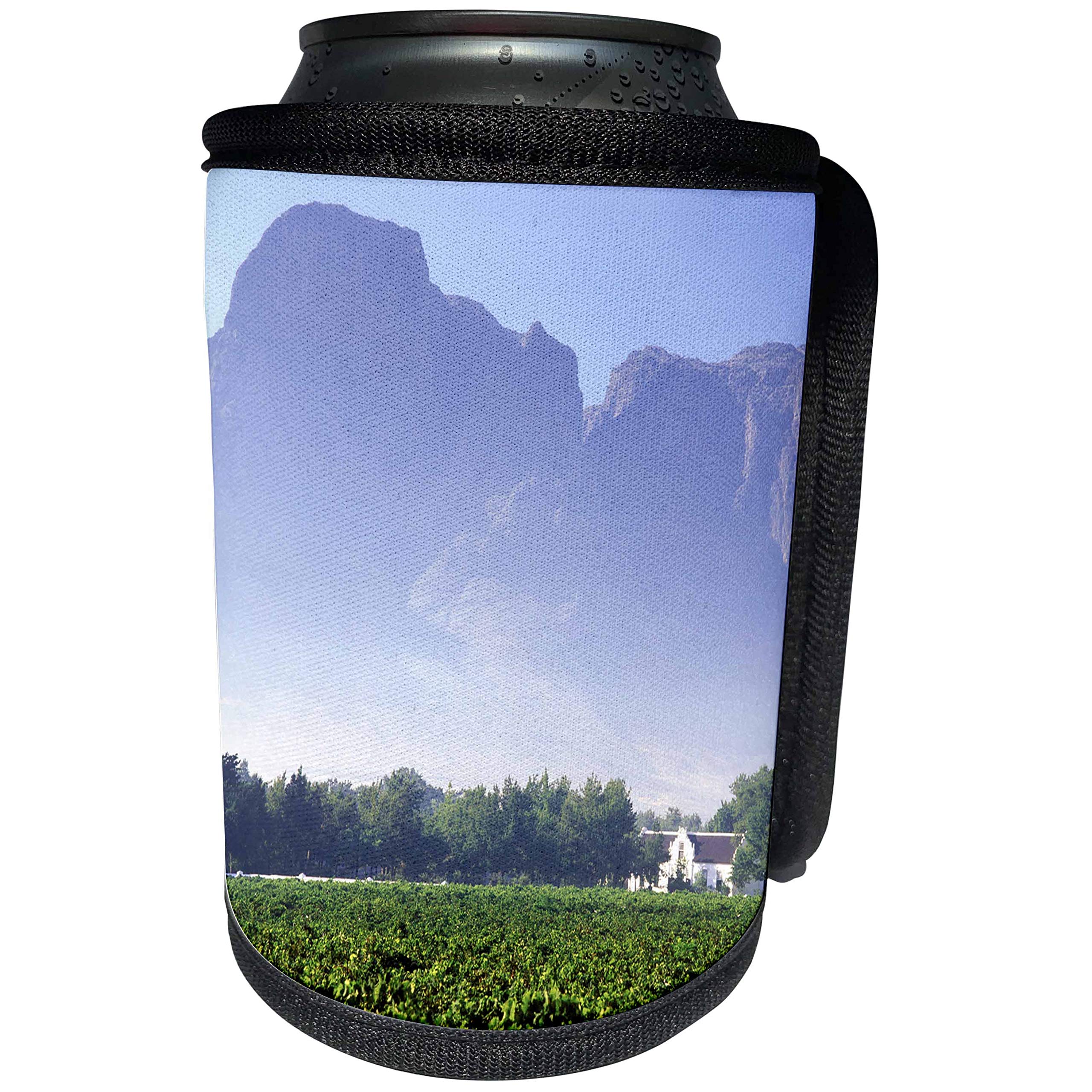 Can Cooler Bottle Wrap - Boschendal Vineyards in Stellenbosch, Western Cape, South Africa. Agriculture
