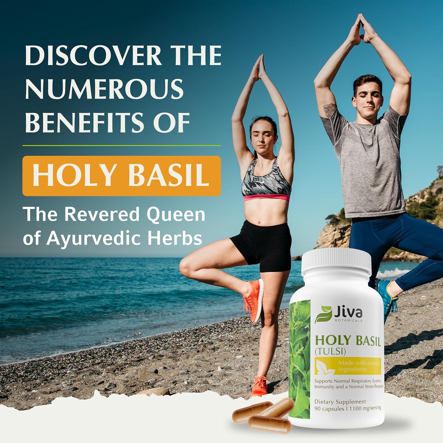 Jiva Botanicals Holy Basil Capsules - Premium Holy Basil Extract with Tulsi Powder - Ayurvedic Herb Alternative to Tincture - 90 Vegan Capsules - Image 4