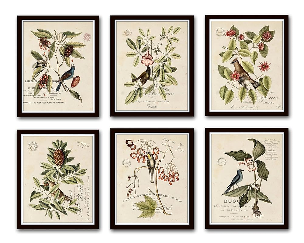 Vintage Bird and Botanical Print Set No. 2 Set of 6 Giclee Fine Art Prints