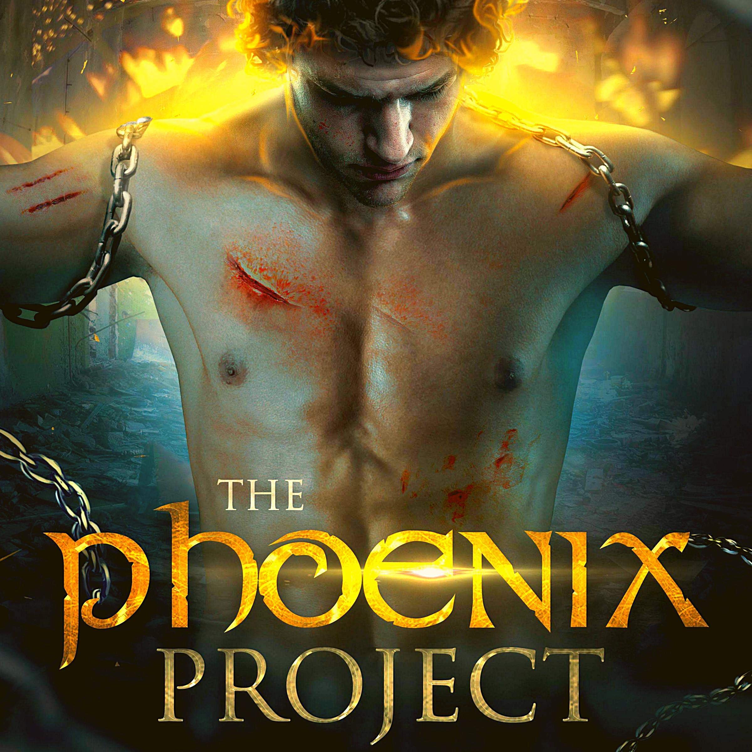 The Phoenix Project