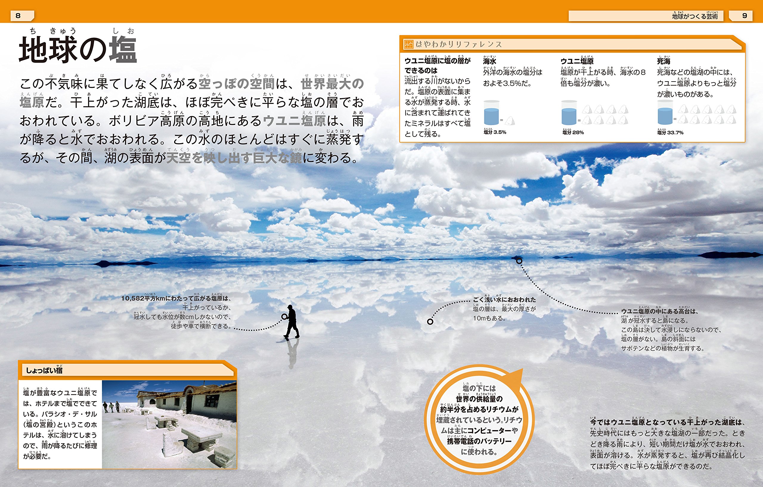 ウソのような現実の大図鑑 ミルズ アンドレア まもる 増田 本 通販 Amazon