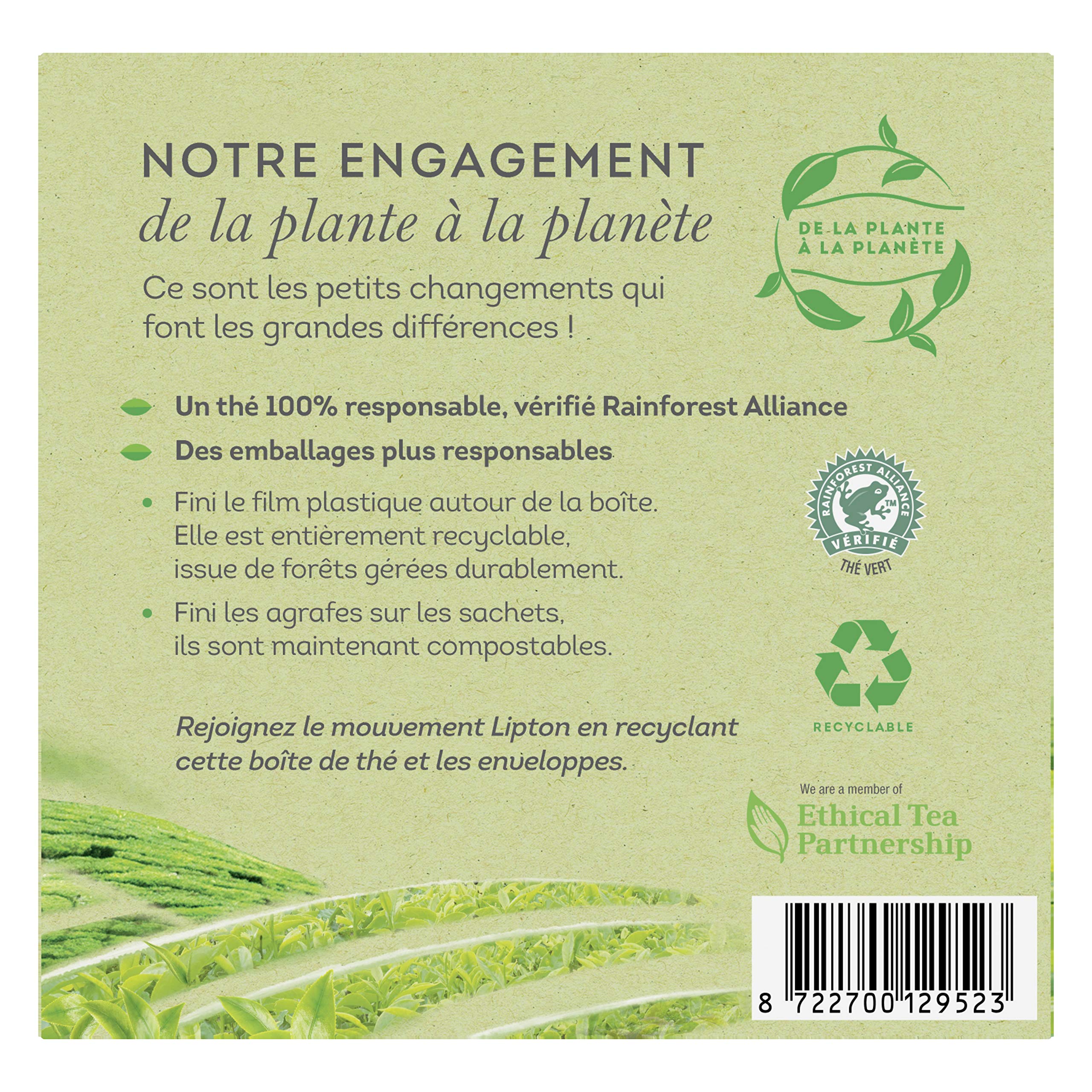 Lipton Té Verde Clásico, Sabor Ligero y Sutil, Rainforest Alliance 100 Bolsas