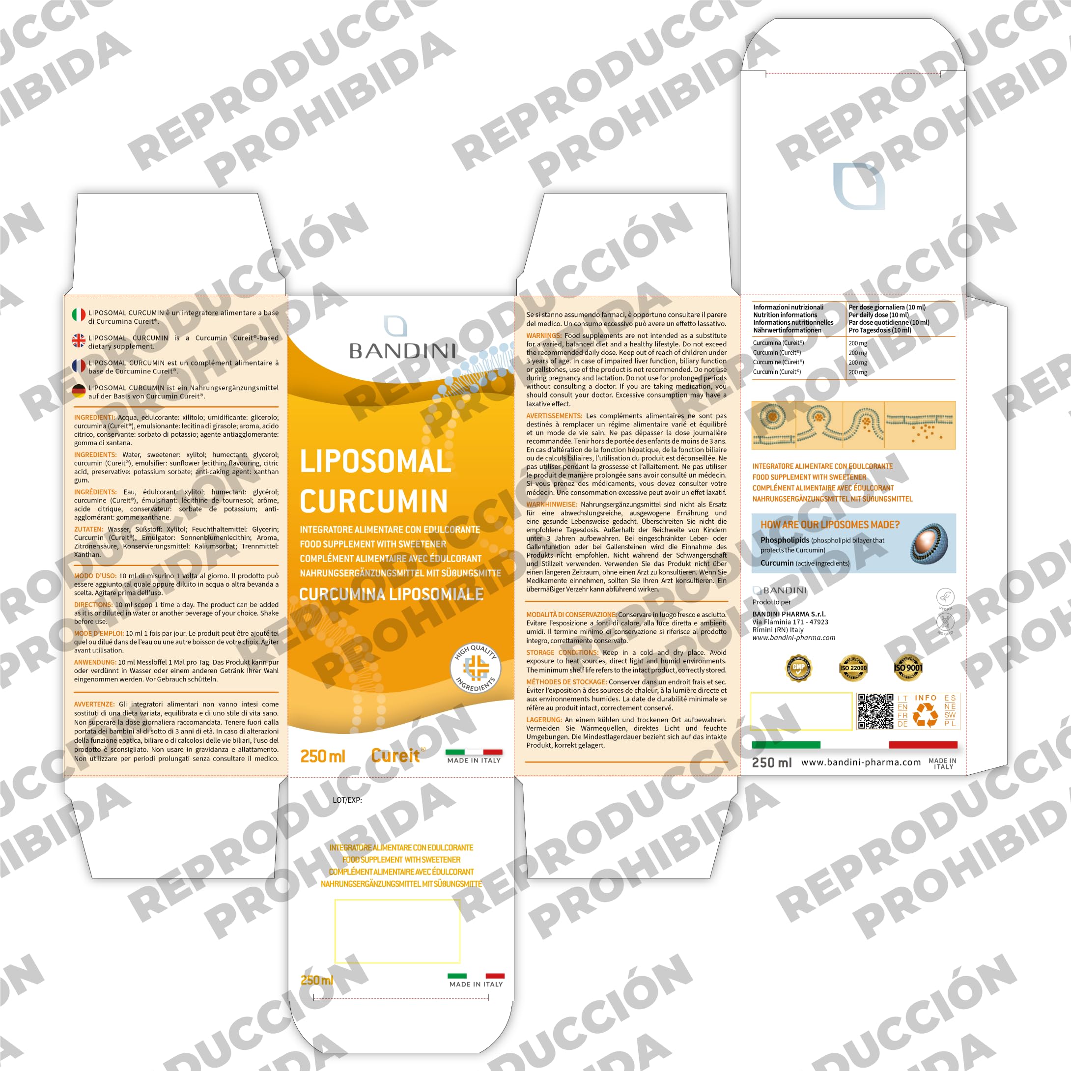 Bandini® Curcumina Cureit® Liposomal líquida 250 ml | 200 mg de curcumin por dosis diaria | Alta Dosis y biodisponibilidad | Suplemento alimenticio Antioxidante natural | Curcuma liposomada | Vegano