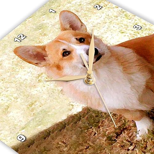 Miniatura 3 de 3dRose Pembroke Welsh Corgi Reloj de pared 100 x 100in