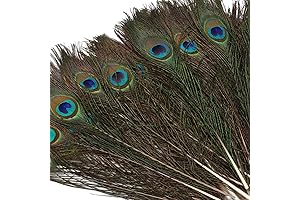Ovida 50-Count Peacock Feathers: Add Vibrant Elegance to Your DIY Crafts and Decorations