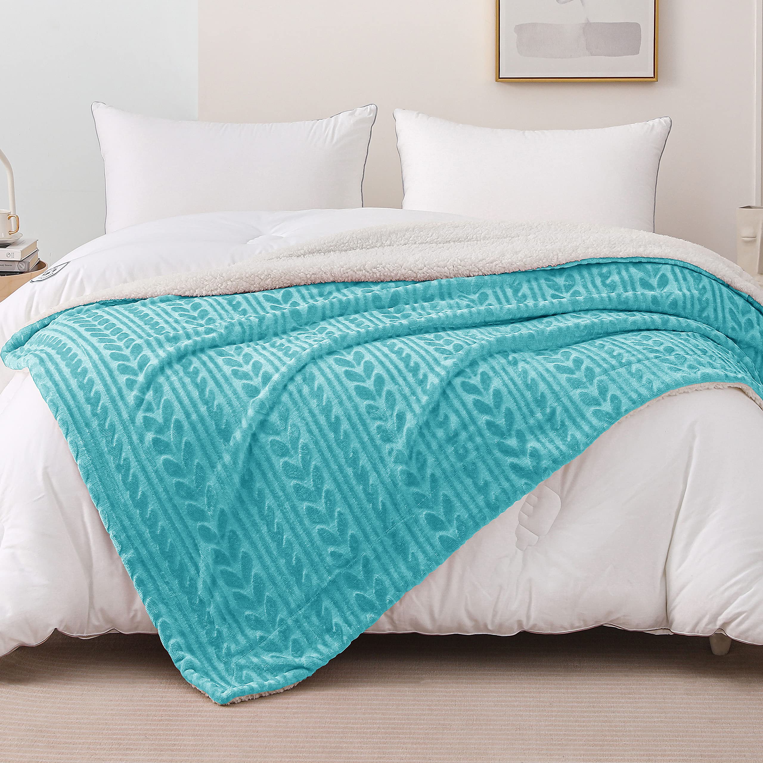 Exclusivo Mezcla Sherpa Fleece Throw Blanket, Reversible Velvet Plush Blankets and Soft Throws for Couch, Sofa, 50x70 inches, Aqua Blue