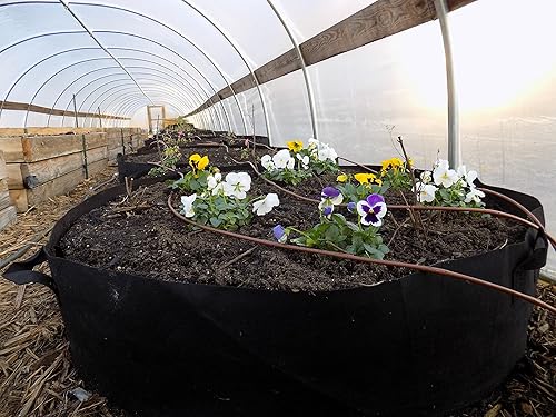 Bootstrap Farmer Bolsa de cultivo grande elevada con asas, 1 paquete, 100 galones