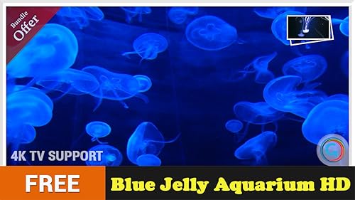 Blue Jelly Aquarium HD grátis - aproveite as belas medusas em sua TV HDR 4K, TV 8K e dispositivos de