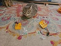 Review Image by NorkDorf Entertainment NorkDorf Entertainment