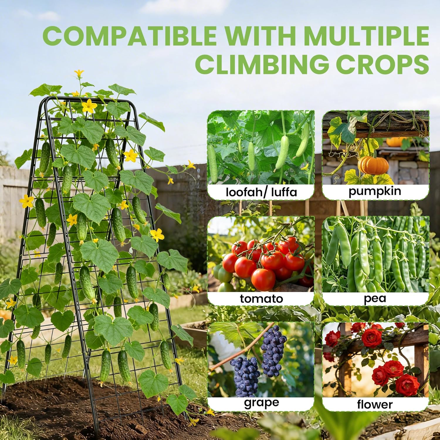 Garden Trellis for Cucumbers, 50” x 16“ Adjustable A-Frame Plant Support for Climbing Plants Outdoor, Vegetable, Flowers, 2 Pack Heavy Duty 1cm Metal Vegetable Trellis for Backyard, Raised Bed, Patio
