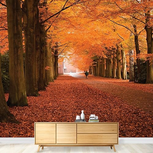 wall26 - Camino de línea de árboles de hojas naranjas otoñales - Paisaje - Mural de pared, calcomanía extraíble, decoración del hogar - 66x96