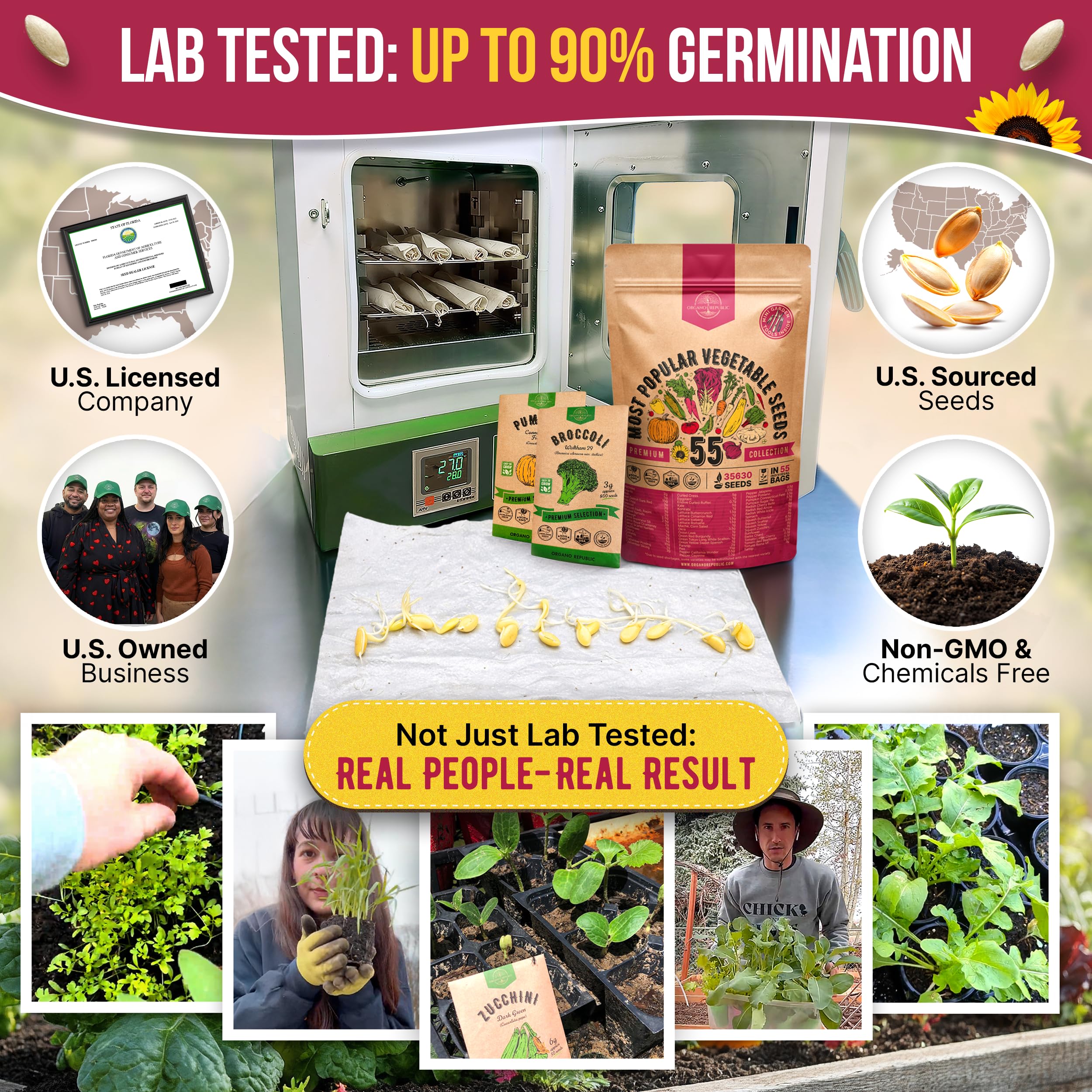 55 Vegetable Seeds Variety Pack - Heirloom & Non-GMO -2