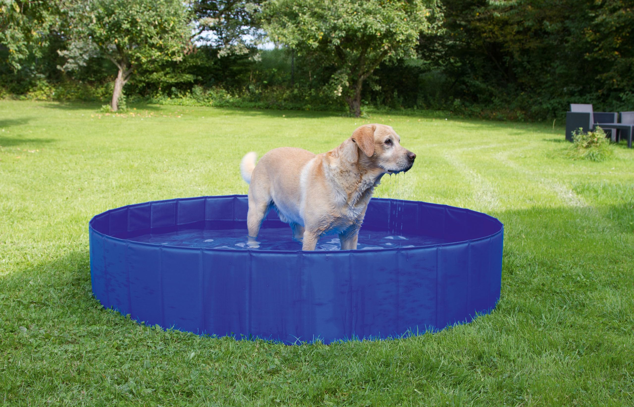 Kerbl Pet Piscina para perros, cuenco para perros, altura 30 cm, azul, 120 cm, plástico, resistente a arañazos, fácil de montar y desmontar