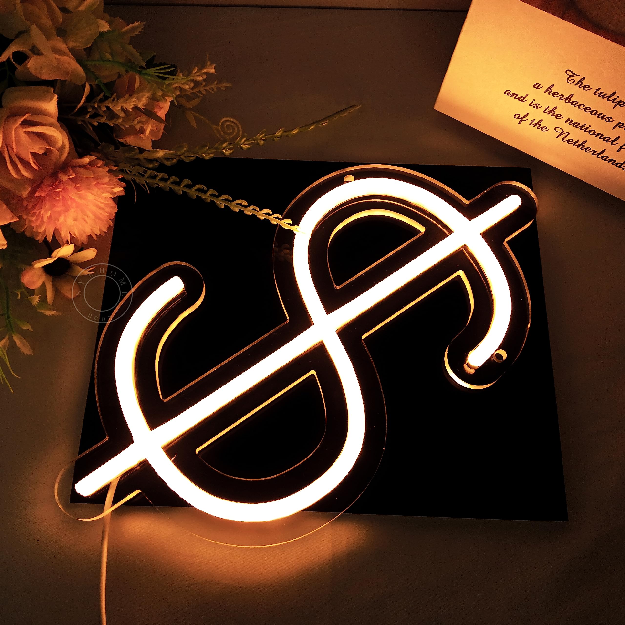 SYLHOME Dollar $ LED Neon Light Sign Money Home Bedroom Game Room Pub Store Bar Shop Bussiness Wall Decor Sign Birthday Christmas Gifts 5V USB Green 11.81" X 6.3" USB Warm White