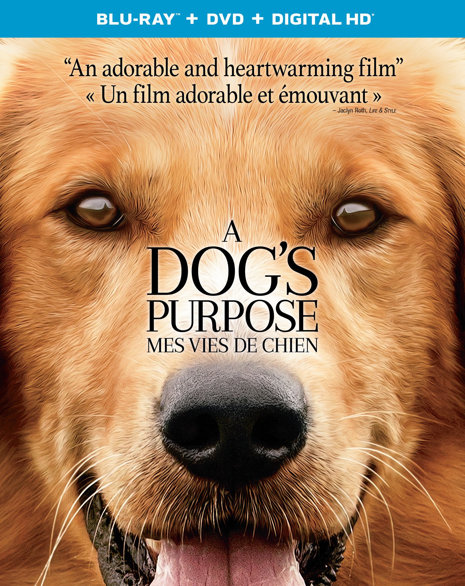 A Dog’s Purpose [Blu-ray + DVD + HD] (Bilingual) [Blu-ray]