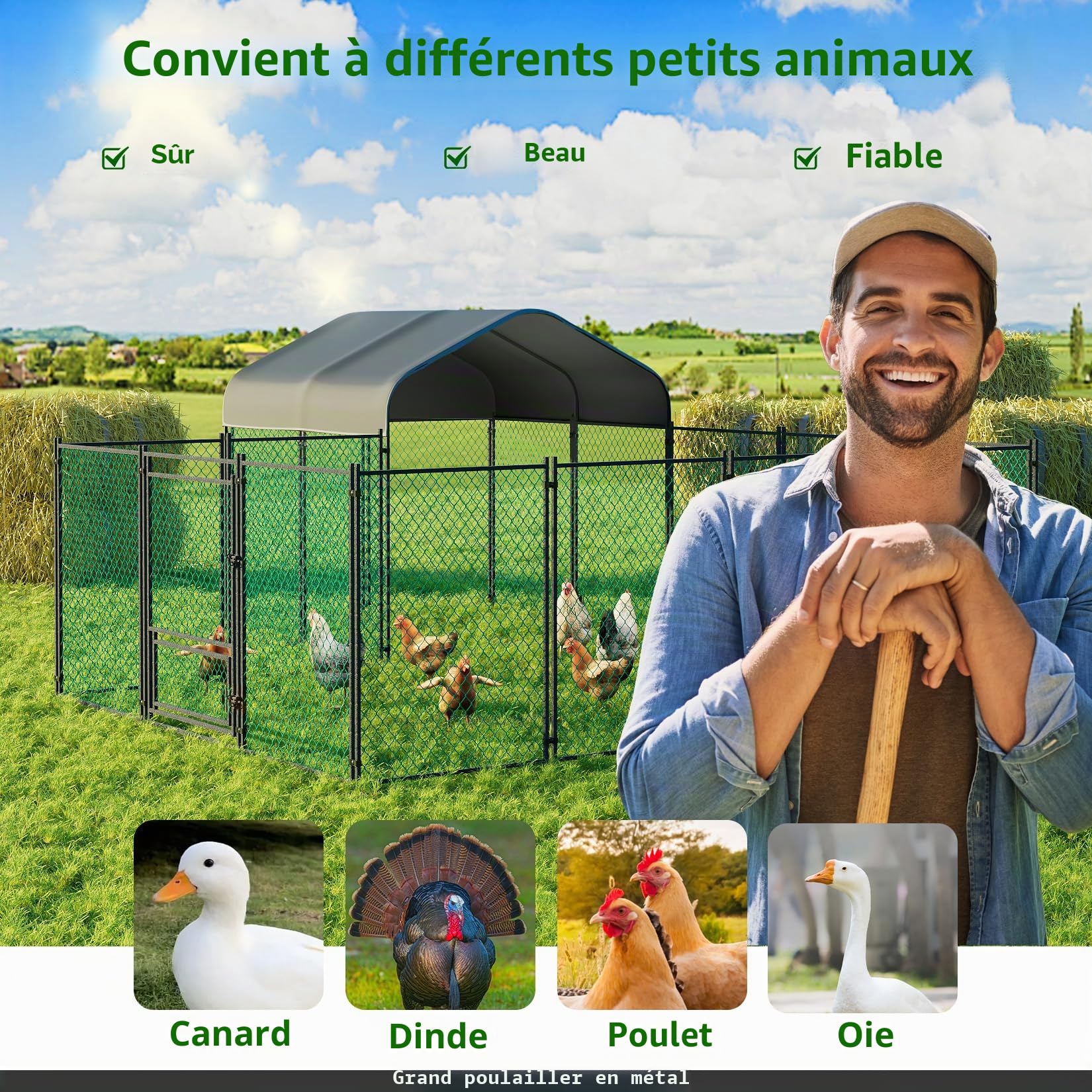 BingoPaw Poulailler Enclos Extérieur 10 m², Parc à Poules Grillagé Cage à Poule Grande Taille Cadre en Acier Galvanisé avec Bâche