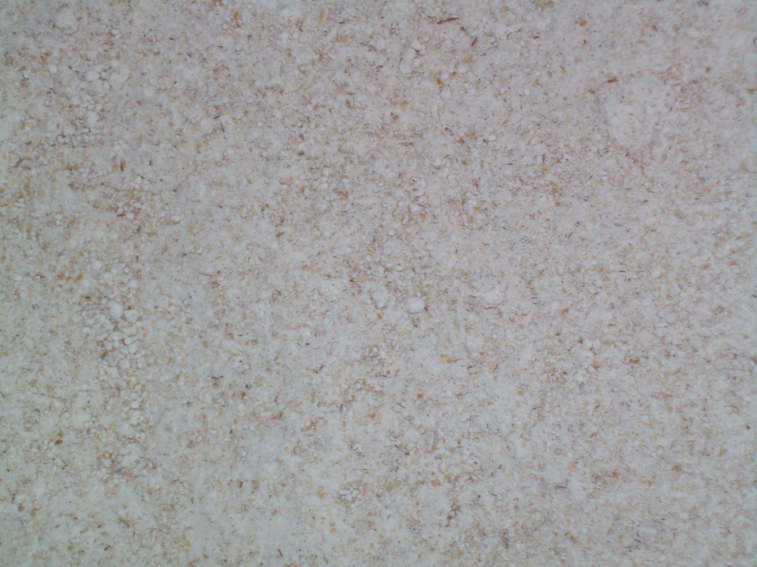 Clear Flour (Fancy), Organic, Stone Ground Fresh, Farmer Direct, 1 lb., non-GMO, IP