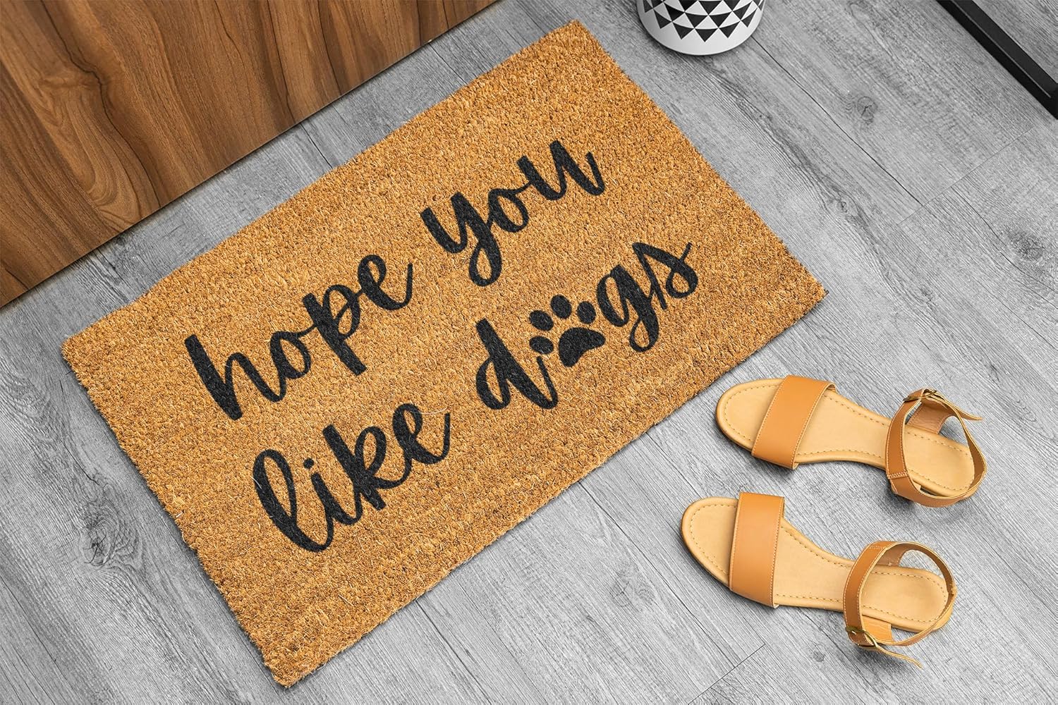 Generic Indoor Outdoor Door Mat for Front Door, Indoor Entrance Rug for Home, Funny Welcome Mat for Porch, Non-Slip Floor Mat for Entryway, Wipe Your Paws, Door mat, Welcome Matt Outdoor, Onesize