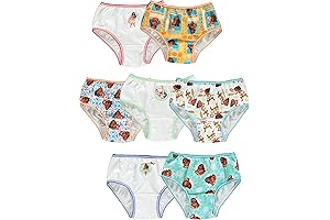 Elsa Underwear For Toddlers 2t