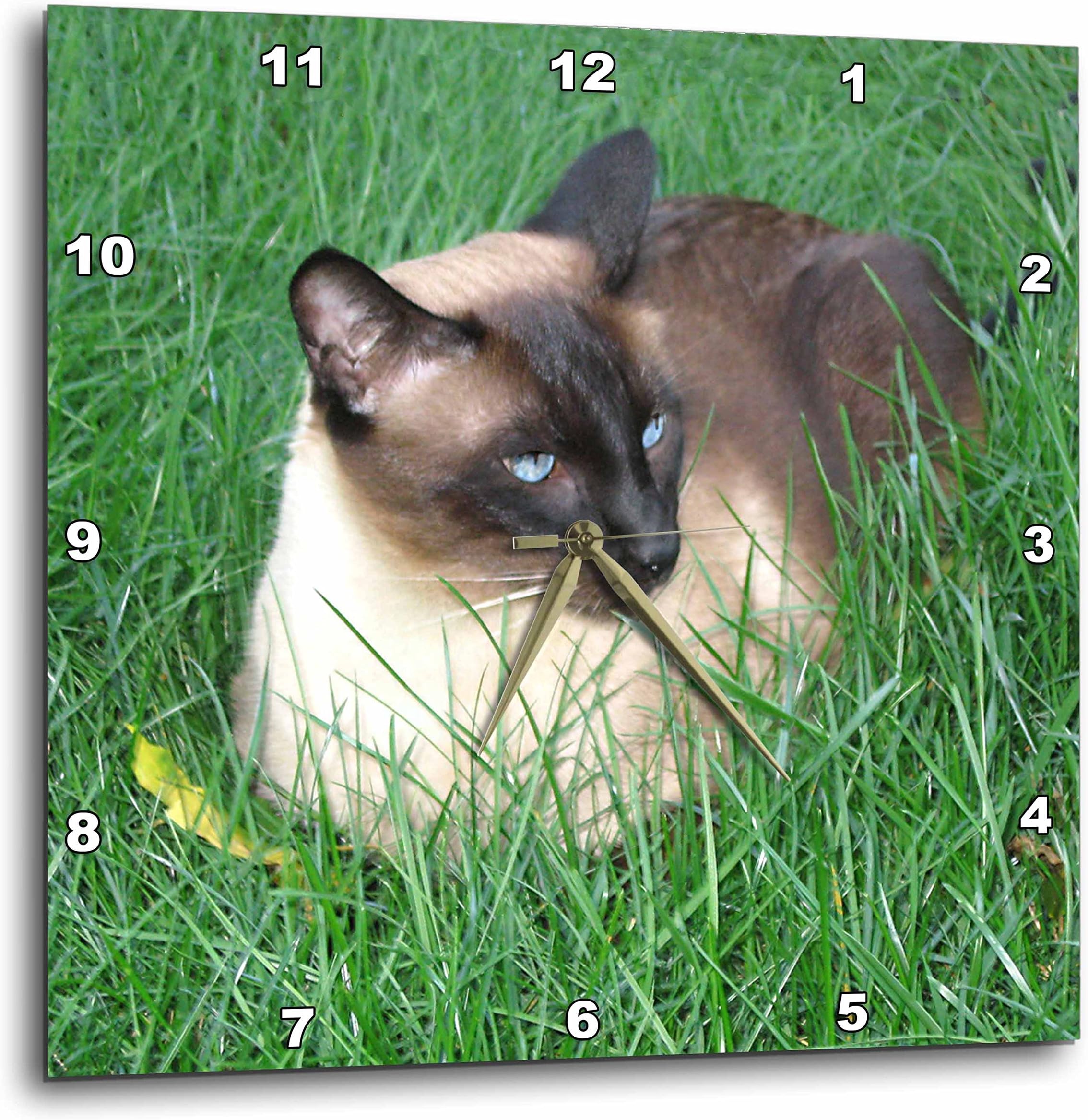 3dRose LLC dpp_4496_1 Siamese Cat 10 by 10-Inch Wall Clock
